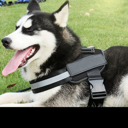 Meidong Dog Harness, Easy On and Off Pet Vest Harness, 3M Reflective Breathable and Easy Adjust Pet Halters with Nylon Handle for Small Medium Large Dogs - No More Pulling, Tugging or Choking